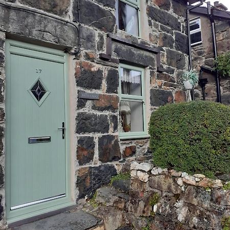 Bryn Cilio Villa Beddgelert Dış mekan fotoğraf